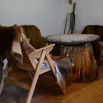 Gozdna Koca Studeno