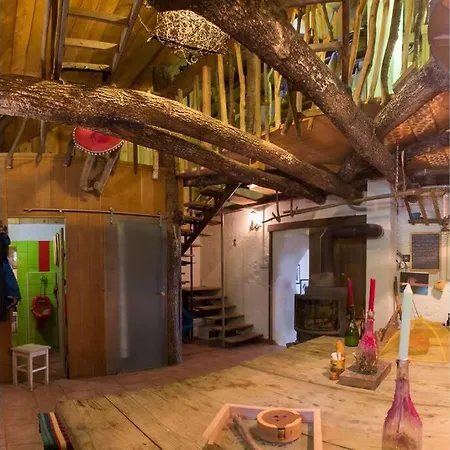 Gozdna Koca Studeno * Kocevje