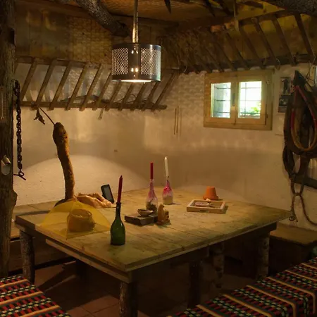 Gozdna Koca Studeno コチェーヴィエ