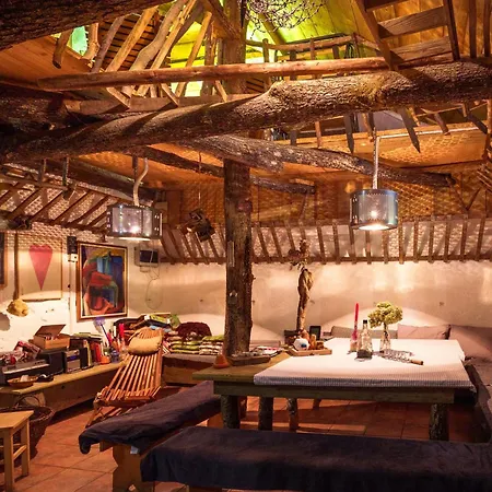 Gozdna Koca Studeno * コチェーヴィエ