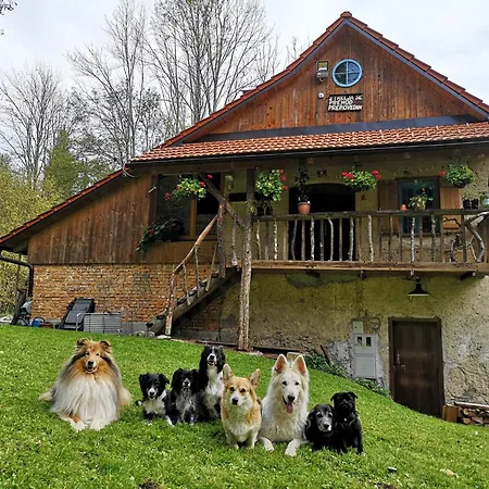 シャレー Gozdna Koca Studeno *