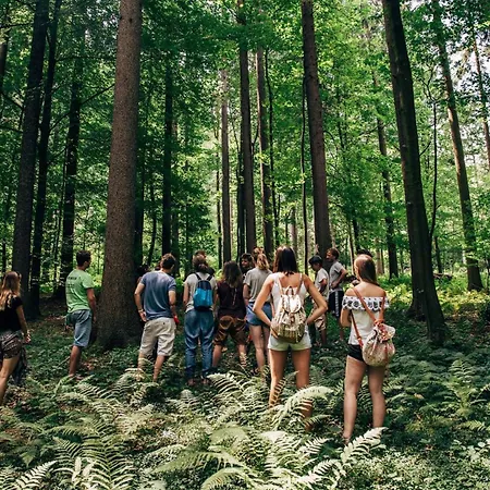 Gozdna Koca Studeno * コチェーヴィエ