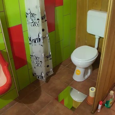 Gozdna Koca Studeno