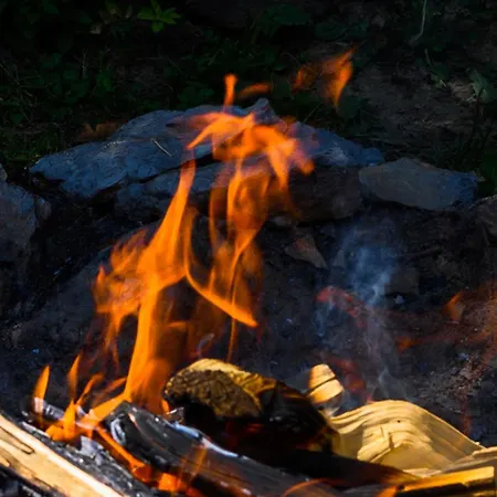Gozdna Koca Studeno シャレー