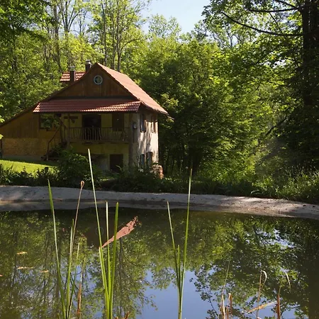 Gozdna Koca Studeno *