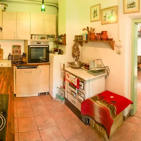 Gozdna Koca Studeno コチェーヴィエ