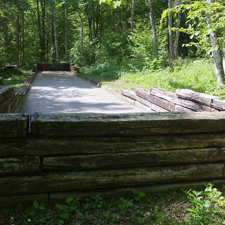 Gozdna Koca Studeno コチェーヴィエ