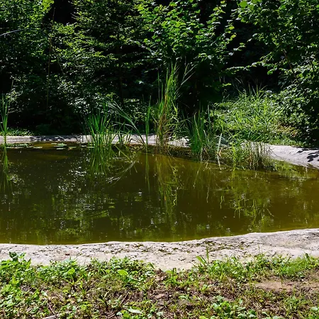 Gozdna Koca Studeno シャレー *