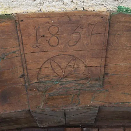 Gozdna Koca Studeno * コチェーヴィエ