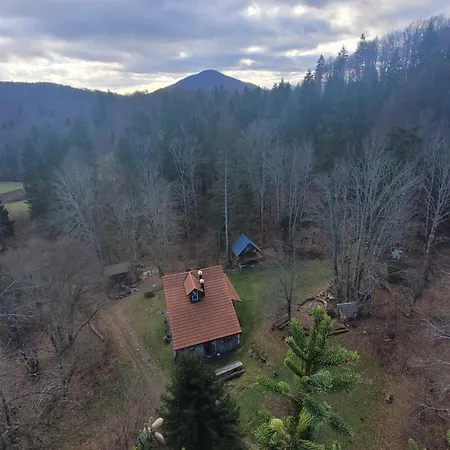 Gozdna Koca Studeno *