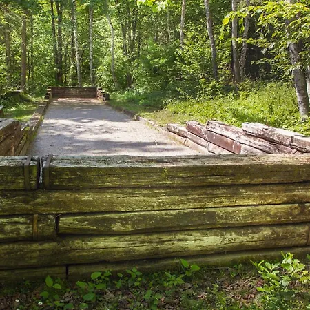 シャレー Gozdna Koca Studeno *