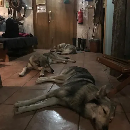 シャレー Gozdna Koca Studeno コチェーヴィエ