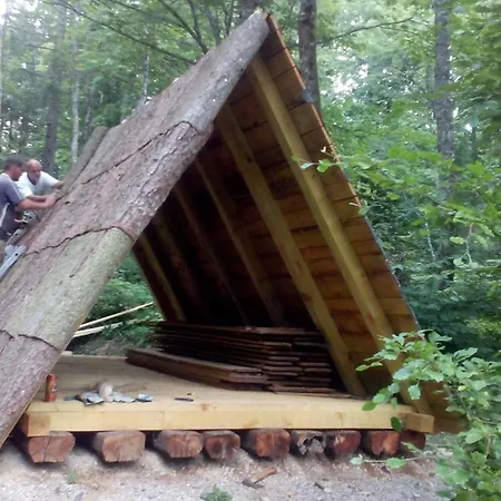 Gozdna Koca Studeno コチェーヴィエ