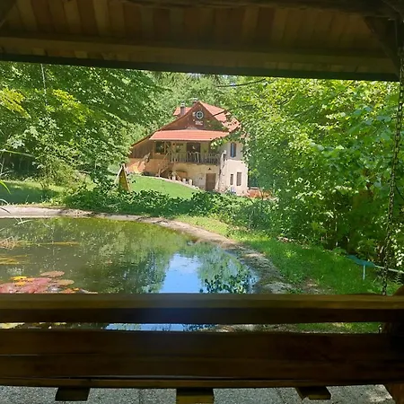 Gozdna Koca Studeno * Kocevje