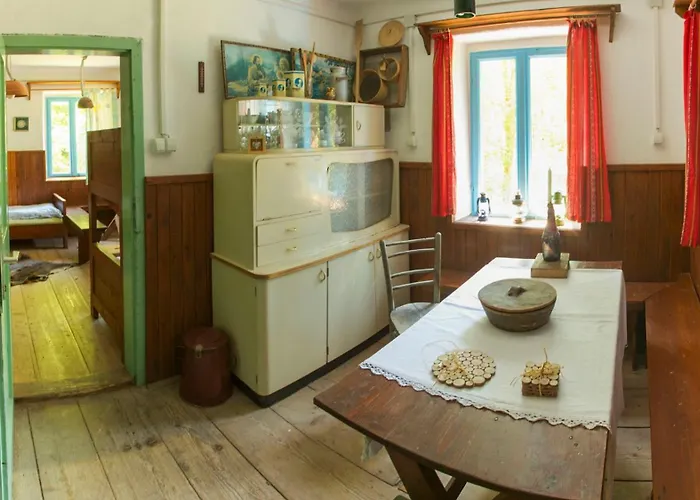 Gozdna Koca Studeno *