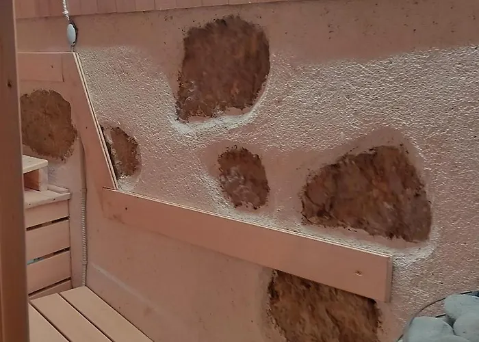 Gozdna Koca Studeno *