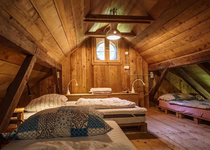 Gozdna Koca Studeno Kocevje