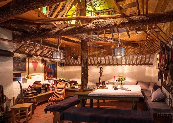 Gozdna Koca Studeno * Kocevje