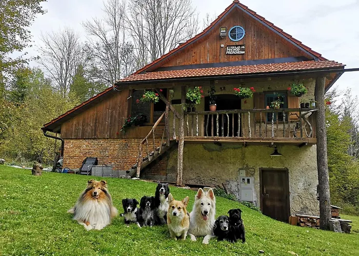 Chalé Gozdna Koca Studeno *