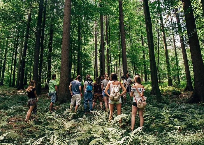 Gozdna Koca Studeno * Kocevje