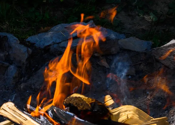 Gozdna Koca Studeno Chalé