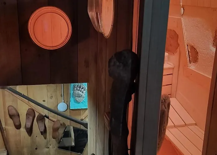 Gozdna Koca Studeno *