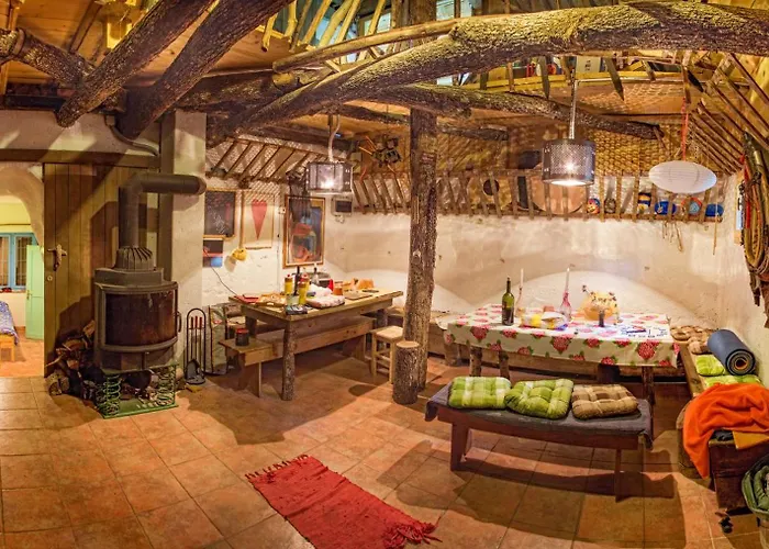 Gozdna Koca Studeno Kocevje