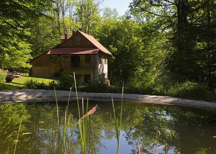 Gozdna Koca Studeno *