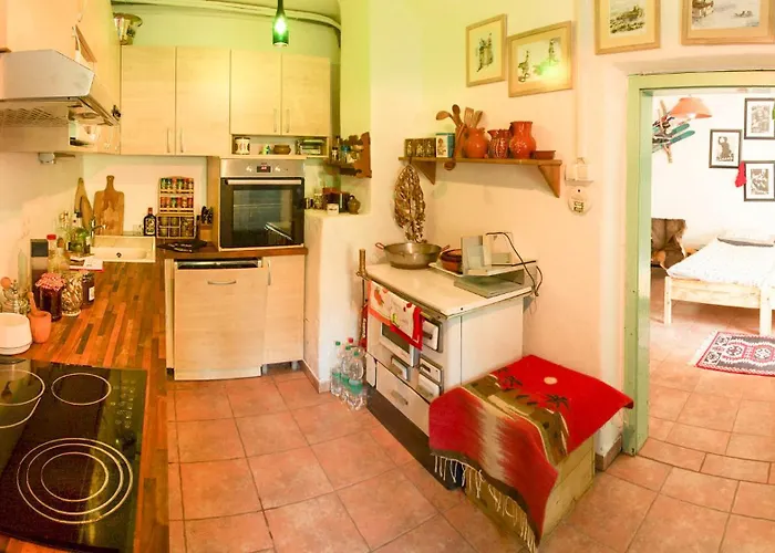 Gozdna Koca Studeno Kocevje