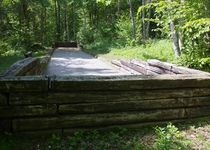 Gozdna Koca Studeno Kocevje