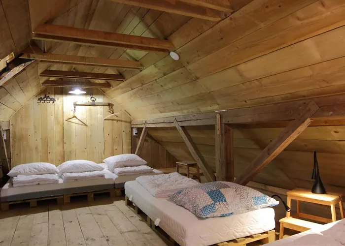 Chalé Gozdna Koca Studeno