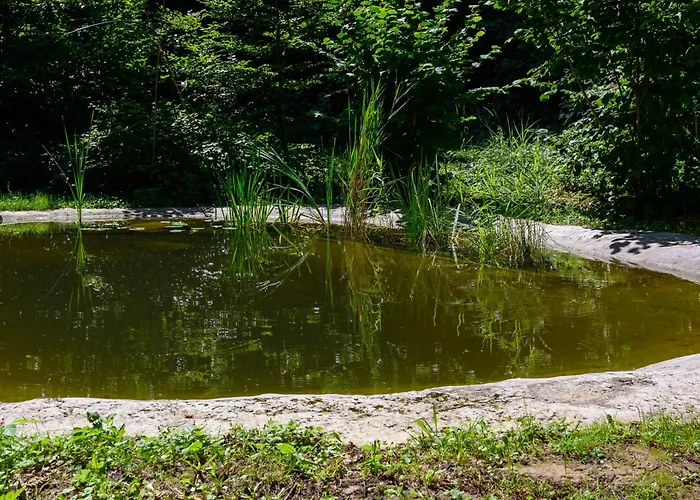 Gozdna Koca Studeno Chalé *
