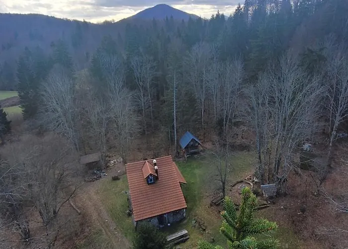 Gozdna Koca Studeno *