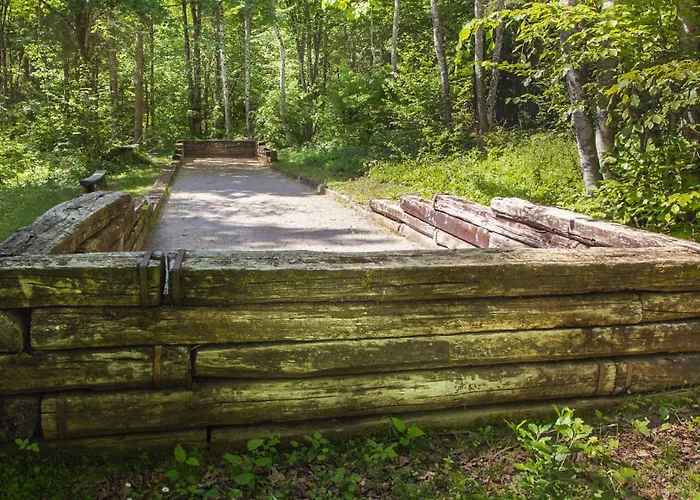 Chalé Gozdna Koca Studeno *