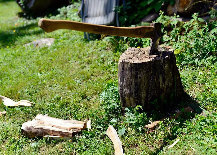 Chalé Gozdna Koca Studeno