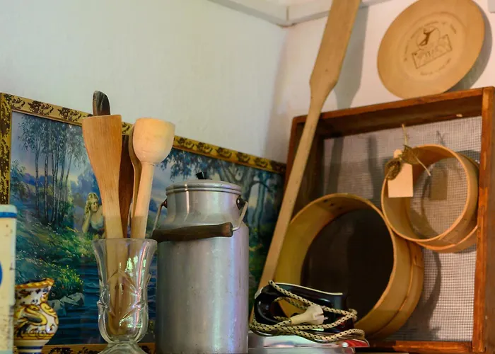 Gozdna Koca Studeno Kocevje