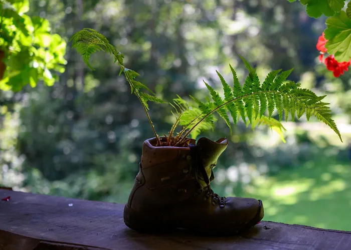 Chalé Gozdna Koca Studeno