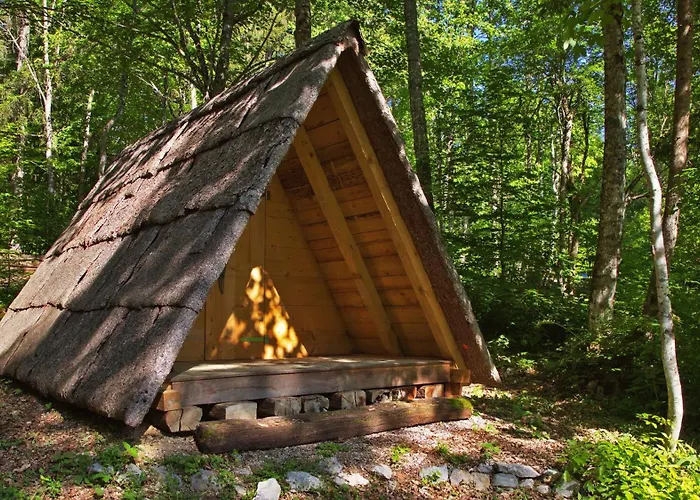 Gozdna Koca Studeno Chalé