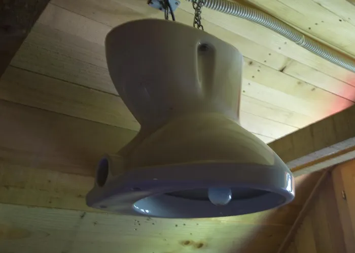 Gozdna Koca Studeno Chalé *