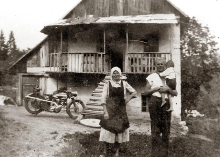 Chalé Gozdna Koca Studeno Kocevje